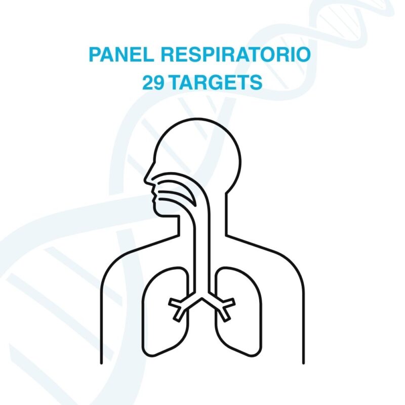 Panel Respiratorio (Respiratory Panel) 29 targets