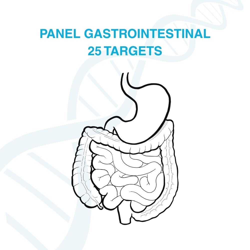 Panel Gastrointestinal (GI Panel) 25 Targets