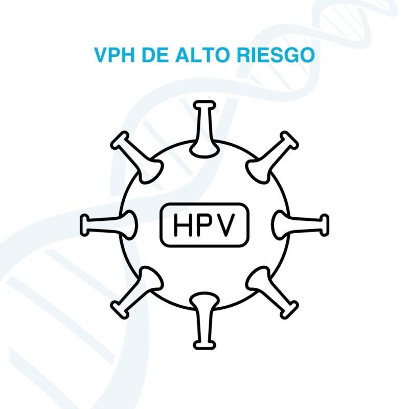 Prueba VPH de Alto Riesgo (High Risk HPV Test)